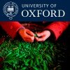 Oxford Impact Investing Program podcasts feature the Foundation